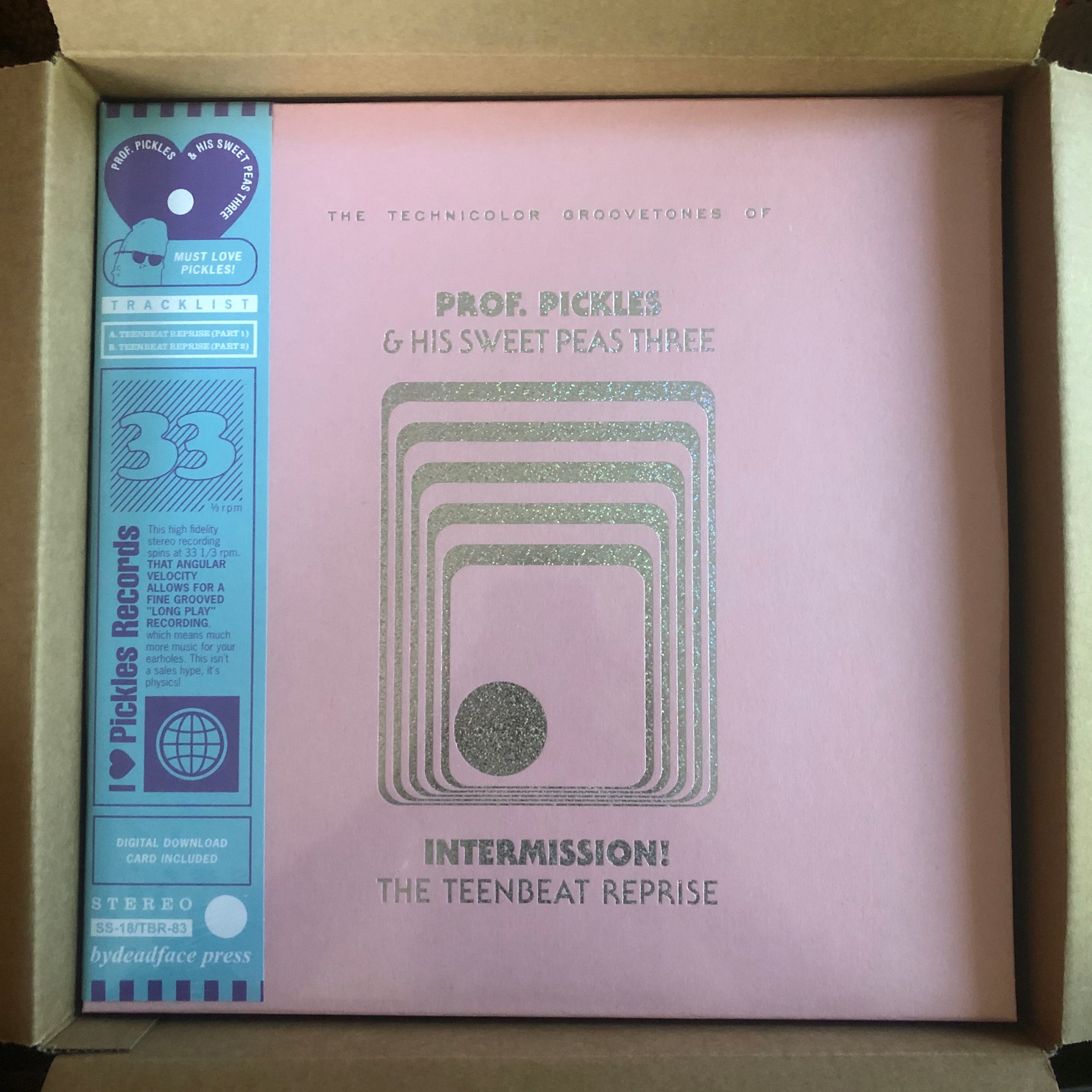 INTERMISSION! The Teenbeat Reprise LP – I Heart Pickles Records