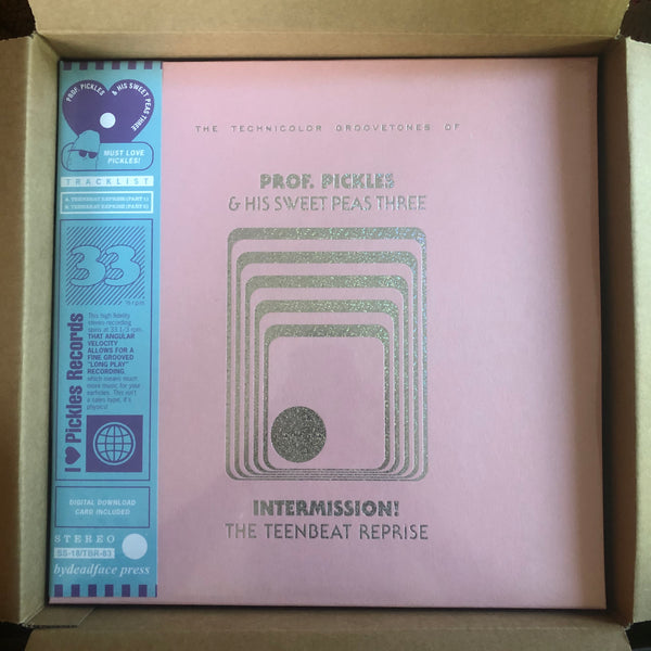 INTERMISSION! The Teenbeat Reprise LP
